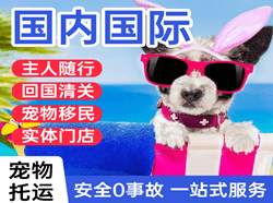 汉中城固航空邮寄国际宠物托运 【国
